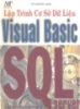 Lập trình cơ sở dữ liệu Visual Basic SQL Server