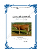 Tài liệu đào tạo nghề Kỹ thuật nuôi và trị bệnh cho bò: Phần II - Sở NN&PTNT Quảng Trị