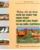 Ebook Hướng dẫn kỹ thuật nuôi gà chăn thả, ngan Pháp, chim bồ câu Pháp và đà điểu (Ostrich): Phần 1