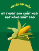 Tài liệu tập huấn Kỹ thuật sản xuất ngô đạt năng suất cao